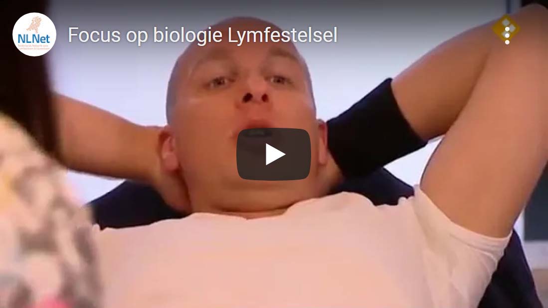 Lymfestelsel biologie
